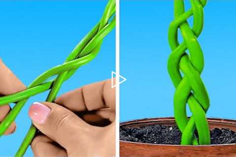 Clever Plant Hacks That You’ll Be Glad To Know