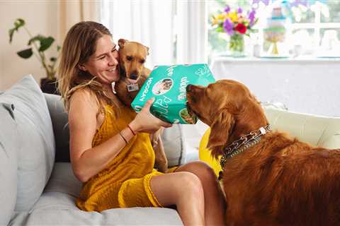 14 Best Gifts for Every Kind of Dog Lover