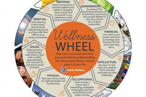 Wellness Tips to Increase Your Social, Spiritual, Intellectual, and Occupational Wellness