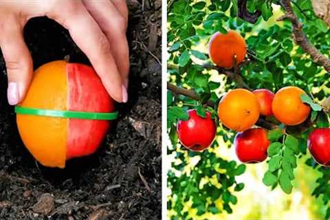 Incredible Gardening Hacks And Plant Growing Tips