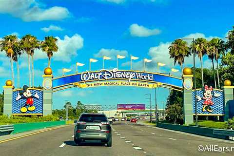 EVERYTHING You Need to Know To Have a GREAT First Disney World Trip