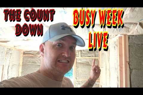 WHAT A WEEK WOW!! |tiny house, homesteading, off-grid, cabin build, DIY, HOW TO, sawmill, tractor