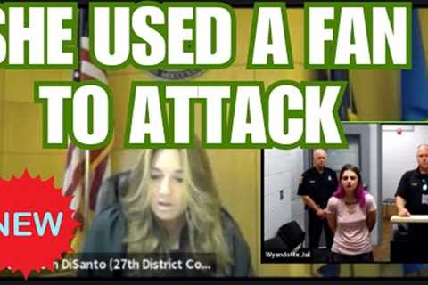 Judge Disanto Crazy DV Attack With Household Items