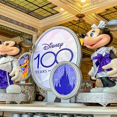 This Disney 100th Anniversary Souvenir Looks PAINFUL