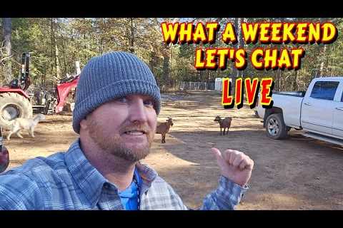 TIME IS FLYING LET''S CHAT |tiny house, homesteading, off-grid cabin build DIY HOW TO sawmill..