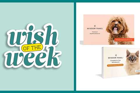 ✨Wish of the Week✨ Win a Pet DNA Kit & $100 Chewy Gift Card