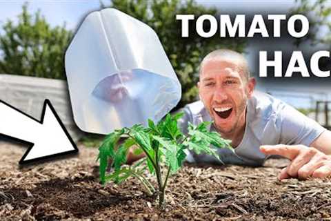 10 FREE Garden HACKS Using Household Items, You Can''t Afford to Miss This!