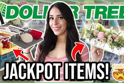 20 things you ACTUALLY should be buying at Dollar Tree March 2024 (from a pro!)