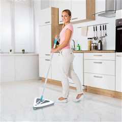 Product of the Week #16: Zippi Sweeper